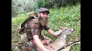 Longbow Florida Buck Called Into Traditonal Bow Range