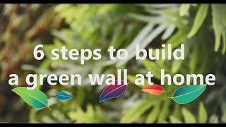6 steps to build a green wall at home