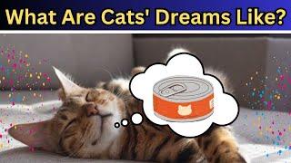 What Do Scientists Think Cats Dream About?