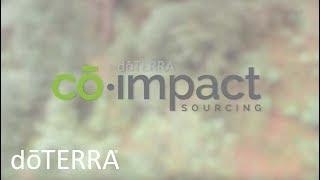 Co-Impact Sourcing by doTERRA Provides the Best Essential Oils and Lifts Entire Communities