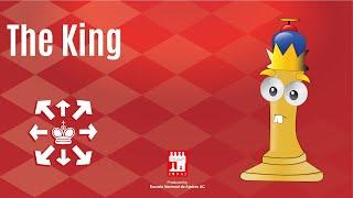 Let´s Learn Chess From Zero. The King