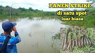 PANEN STRIKE DI AWAL TAHUN 2021 DI SATU SPOT LUAR BIASA | MASIH TERJAGA HABITAT NYA