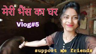 Mera Bhaisiya ghar || मेरी भैंस का घर ||#vlog 5  @KavyanshiKumari