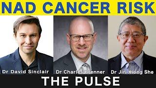 Does NMN Cause Cancer? - Experts Discuss