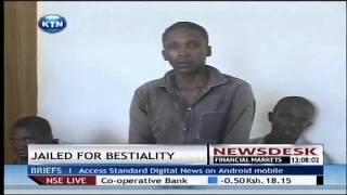 Man jailed for 10 years for defiling goat