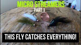 FLY TYING TUTORIAL | How to tie this SUPER EFFECTIVE Micro Streamer