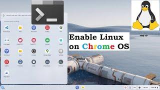 Enabling Linux on Chrome OS | Install Linux App i.e. VS Code on Chromium based Fyde OS