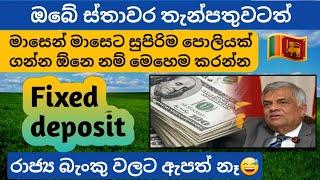  LOLC Finance Fixed Deposit Interest Rates | fd rates in sri lanka 2024 | new fd rates calculate