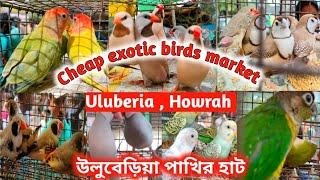 Exotic Birds market , Uluberia , Howrah , West Bengal ।। Price update of exotic birds ।।