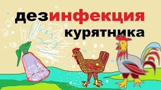 Дезинфекция курятника. Готовимся к осени.