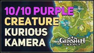 10 Purple Creature Locations Genshin Impact (Photo Subject)