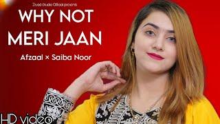 New Gift For 2024 | Saiba Noor ️ Afzaal | Why Not Meri Jaan | HD Video  New Latest Song 2024