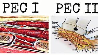 SEASON I - PART I POCUS MOSCOW Webinars  PEC I  &  PEC II Blocks