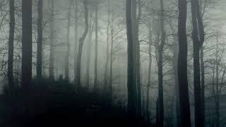 Dark Ambience - Horror Background Music 10 Hours