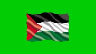 green screen bendera Palestina bergerak