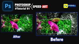 Photoshop Tutorial 01 [Speed Art] Sinhala