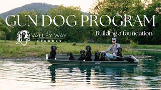 Boykin Spaniel Basic Gundog Program