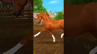 Sso Dutch Warmblood Horse Gait Spoiler! / Sso Short / Sso Edit #sso #starstable #starstableonline