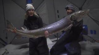 TOP 3 BIGGEST STURGEON CAUGHT THROUGH THE ICE! - (compilation)