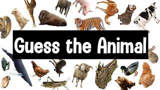 Guess the Animal Sound Game | 30 Animal Sounds Quiz | Wildlife Trivia