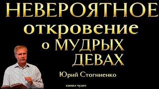 Лучшее истолкование о Мудрых девах | Стогниенко Юрий. #последнеевремя #мудрость #истина #мудрыедевы