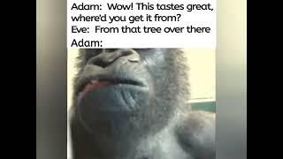 Adam and Eve gorilla meme