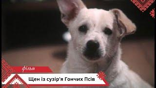 Звідки він з'явився на землі? Щеня із сузір'я Гончих Псів. Українською мовою