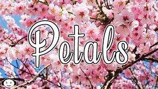 Petals (prod  Bigg Colt)