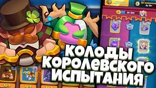 RUSH ROYALE | КОРОЛЕВСКИЕ ИСПЫТАНИЯ И ЛУЧШИЕ КОЛОДЫ | ПРИЗЫВАТЕЛЬ И СОЙКА ВСЁ ЧТО НАМ НАДО