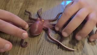 Мешканці морів та океанів, восьминіг / Creature collector sea-life, octopus