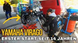 Yamaha Virago 500 Restauration!