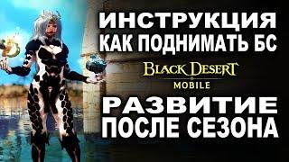 BDM: РАЗВИТИЕ БС После сезона в Black Desert Mobile (БДМ)
