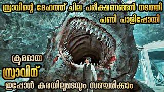 ഇത്രയും പ്രതീക്ഷിച്ചില്ല വെളളത്തിലൂടെ നീന്തുന്ന വേട്ടക്കാരൻ സ്രാവ് കരയിലേക്ക് വന്നാൽ