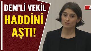 DEM'Lİ VEKİL HADDİNİ AŞTI!