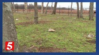 28 enslaved graves discovered at Andrew Jackson's Hermitage