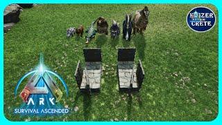 ASA Trap for Yuty, Megat, Thyla, Sarco, Stego, Trike, Ankylo - ARK: Survival Ascended