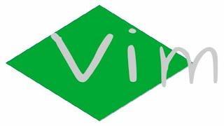 Checking Code With VIM