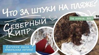 Северный Кипр - Что за штуки на пляже? - Сегодня была прекрасная погода - 05.17 #кипр #море