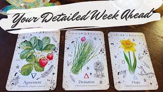 your detailed week ahead  pick a card weekly reading