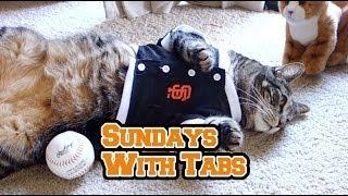 Sundays With Tabs the Cat, Makeup and Beauty Blog Mascot, Vol. 283