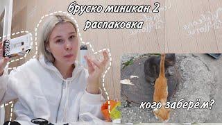 ВЛОГ 2 ЧАСТЬ /  ЦИТАТЫ ВЕЛИКИХ / ПОД BRUSKO MINICAN 2 распаковка