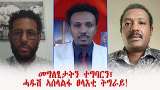 መግለፂታትን ተግባርን፣ሓዱሽ ኣሰላልፋ ፀላእቲ ትግራይ! ብመንግስተኣብን ዳዊትን