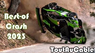 Best of Rallye Rally 2023 - Hillclimb - Big Crash - Mistakes & Show by ToutAuCable