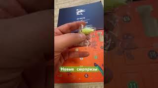 Адвент календарь для рыбака #fishing #рыбалка #рыба #щука #carpfishing #зима #тикток #прикол