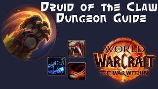 Feral Druid of the Claw Dungeon Guide - TWW