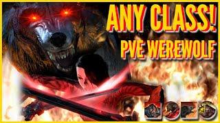 Light Attack WEREWOLF PVE Build, Use ANY Class! (Scribes of Fate DLC) 