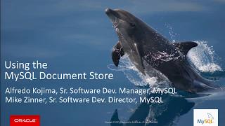 Using the MySQL Document Store