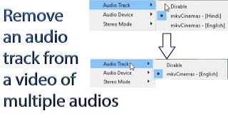 How to remove an audio track from a video file of multiple audios through MKVToolNix GUI