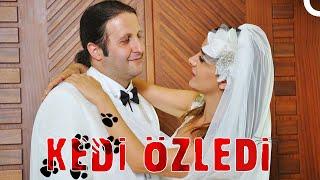 Kedi Özledi | İlker Ayrık - Algı Eke FULL HD Yerli Komedi Filmi İzle