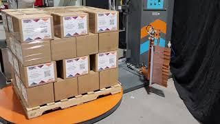 Pacteon Cobot Palletizer with Wrapper